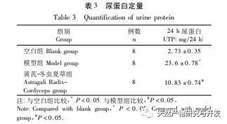 冬去冬又來 视频截图