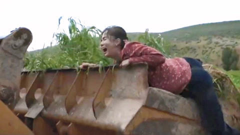 俠僧探案傳奇之白馬鏢局 产品图片