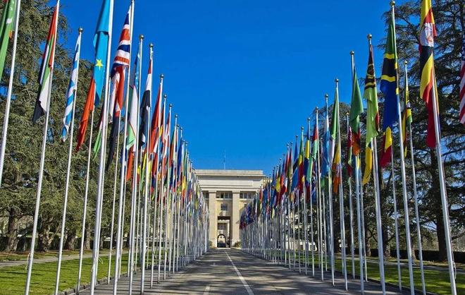 僵屍高校4：吸血鬼黎明 视频截图