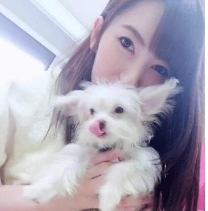 俱毗羅 视频截图