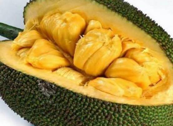 冰河時代 视频截图