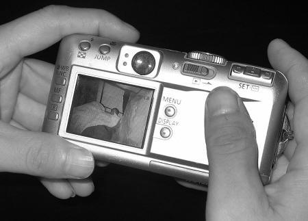 你在我的世界裏 视频截图