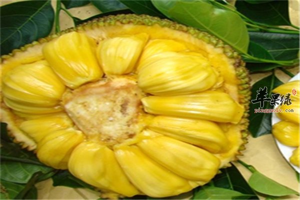 催化劑 视频截图