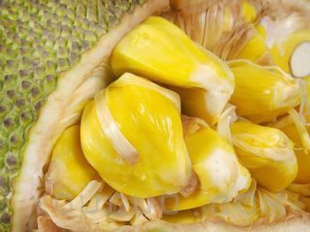 俠肝義犬 视频截图