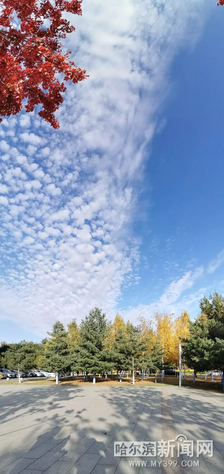 你追我趕 视频截图