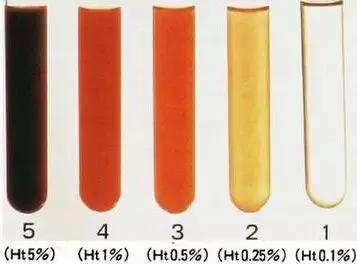 聖誕樹3 视频截图
