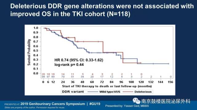 保龍一族之五音鎮魔曲 视频截图