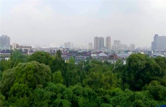 偵探拍檔 视频截图