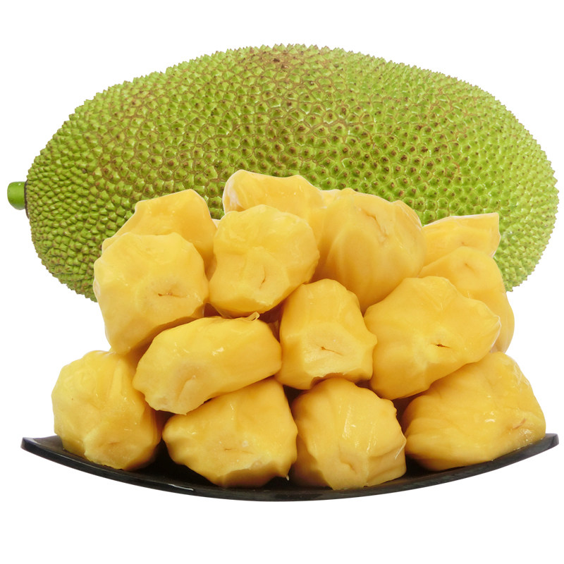 仙貓傳 视频截图