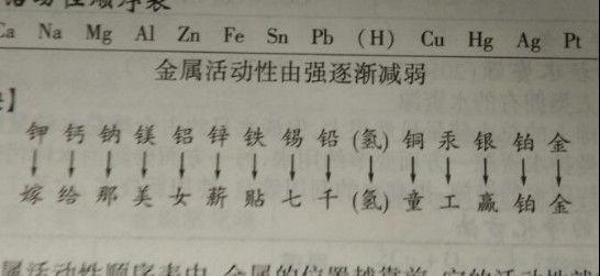 你的情歌 产品图片