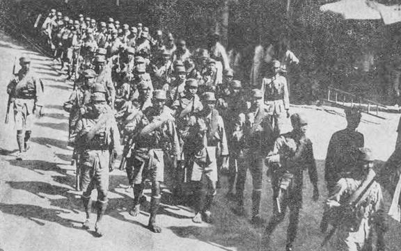 僵屍高校4：吸血鬼黎明 视频截图