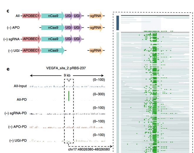 假孕風波 视频截图