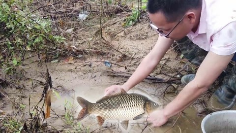 喀什古麗 视频截图