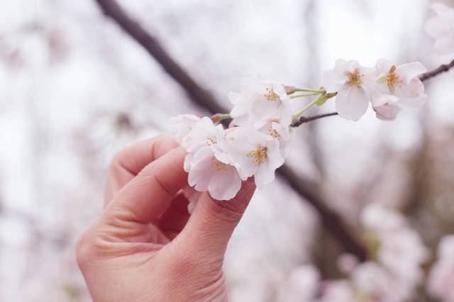 餘額不足 视频截图