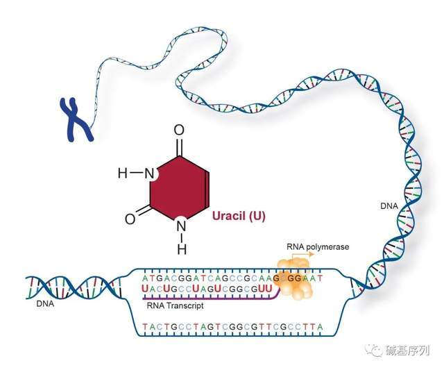 俠路相逢 视频截图