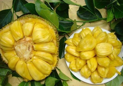 凱旋門 视频截图