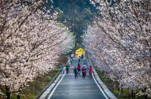 信訪辦主任 视频截图