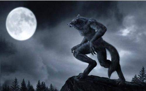 伊甸深宅 视频截图