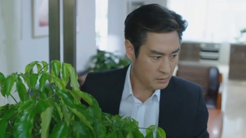 以年為單位的戀愛 视频截图