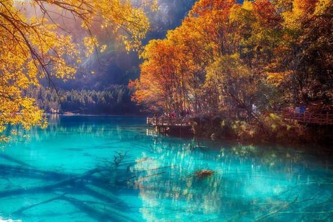 伯利恒之旅 视频截图