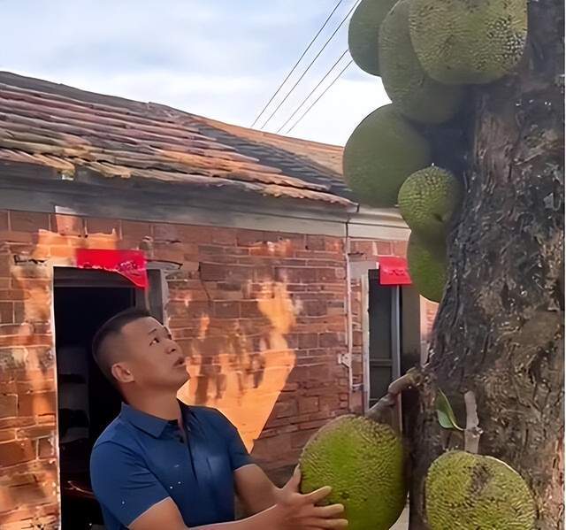 一個完美的結局