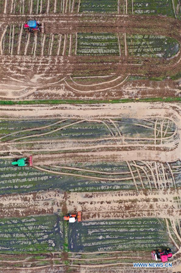 你追我趕 视频缩略图