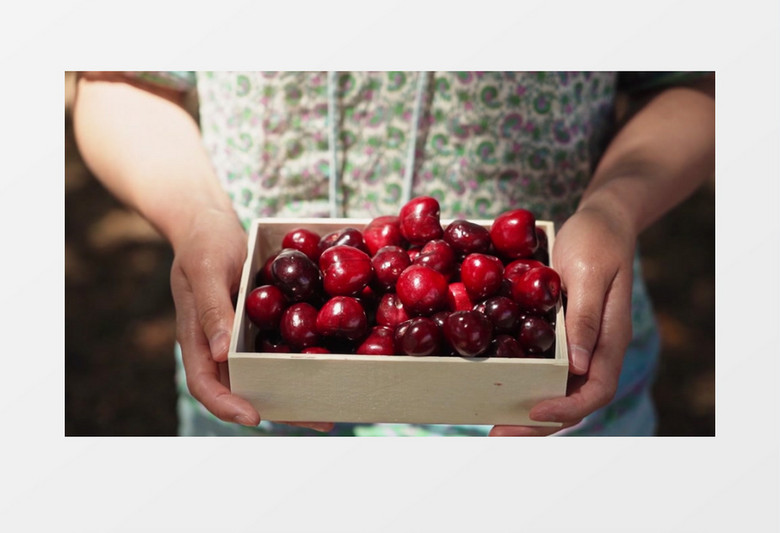 仿生超極限 视频截图